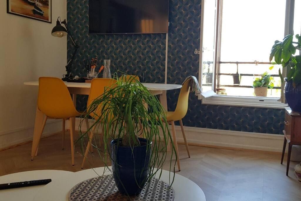 Appartement 300 M Plage Et Port 바뉼쉬르메르 외부 사진