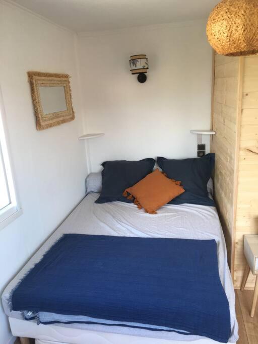 Appartement 300 M Plage Et Port 바뉼쉬르메르 외부 사진